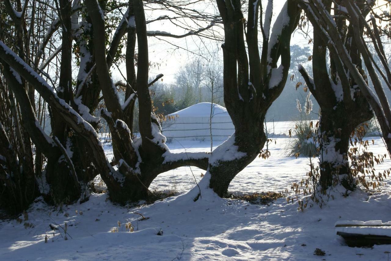 Le Refuge Du Clos Du Moulin Brionne Kültér fotó